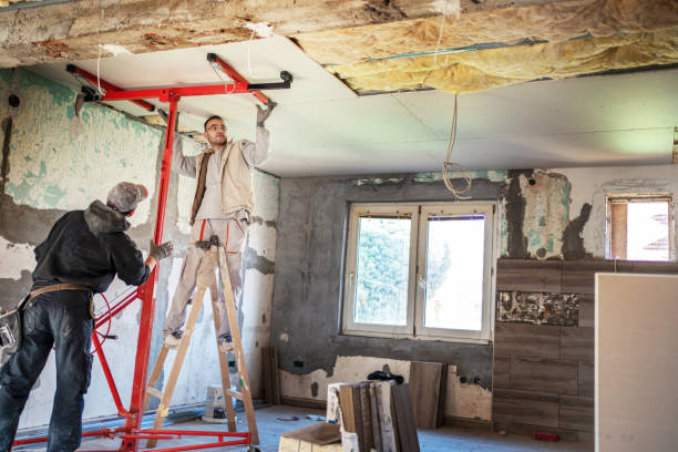 Best Geographic-Specific Insulation Services in Fort Pierre, SD
