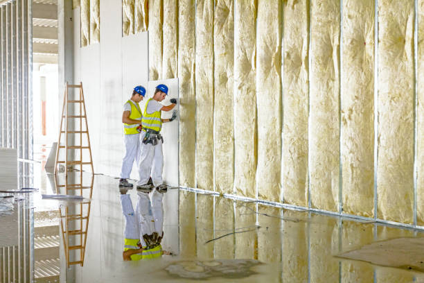 Best Insulation Maintenance and Repair in Fort Pierre, SD